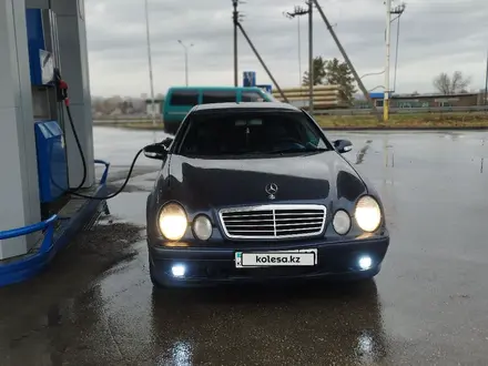 Mercedes-Benz CLK 200 2000 года за 2 750 000 тг. в Костанай