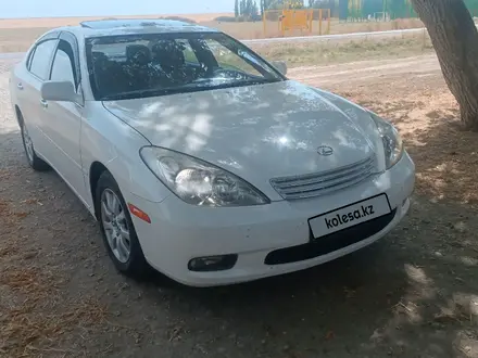 Lexus ES 300 2002 года за 5 800 000 тг. в Тараз – фото 5