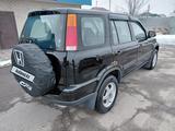 Honda CR-V 2000 года за 4 900 000 тг. в Алматы – фото 4