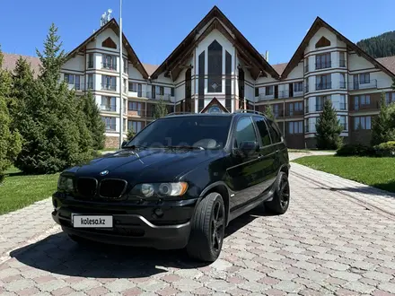 BMW X5 2002 годаүшін7 500 000 тг. в Алматы