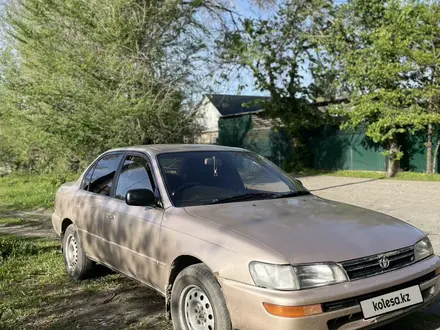 Toyota Corolla 1995 года за 2 900 000 тг. в Сарканд – фото 2