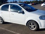 Chevrolet Aveo 2013 года за 3 500 000 тг. в Усть-Каменогорск – фото 3