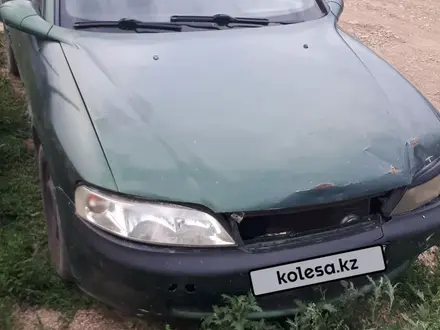 Opel Vectra 1996 года за 450 000 тг. в Кокшетау – фото 3