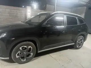 Hyundai Mufasa, 2025