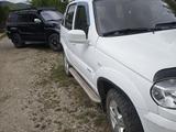 Chevrolet Niva 2014 года за 3 900 000 тг. в Риддер – фото 2