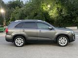 Kia Sorento 2013 годаүшін6 900 000 тг. в Алматы – фото 3