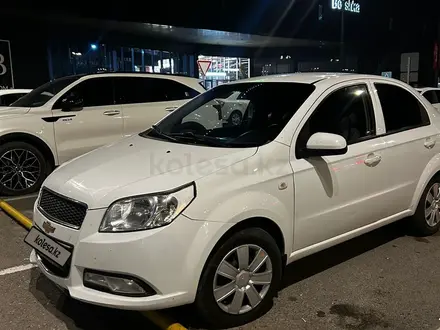 Chevrolet Nexia 2022 года за 4 200 000 тг. в Шымкент – фото 2
