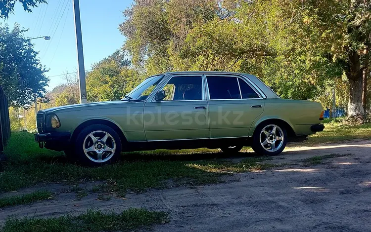 Mercedes-Benz E 200 1982 годаүшін1 800 000 тг. в Павлодар