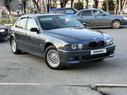 BMW 528 1997 года за 3 300 000 тг. в Шымкент