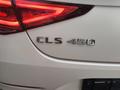 Mercedes-Benz CLS 450 2018 года за 25 555 555 тг. в Алматы – фото 51