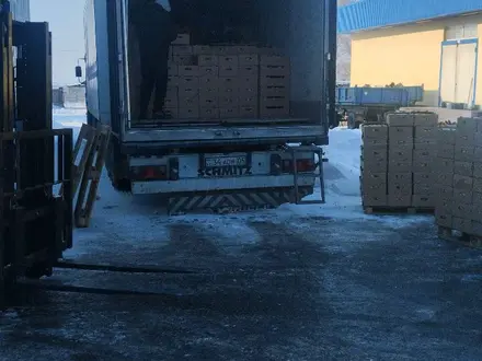 IVECO  Stralis 2003 года за 12 700 000 тг. в Алматы – фото 11