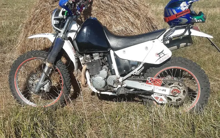 Suzuki  Djebel 250 1998 годаүшін1 000 000 тг. в Усть-Каменогорск