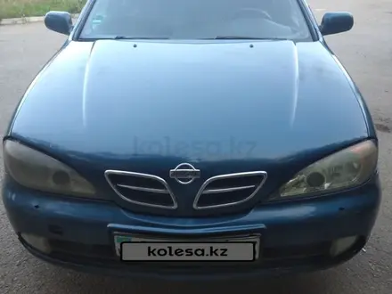 Nissan Primera 2001 года за 1 300 000 тг. в Кокшетау – фото 5