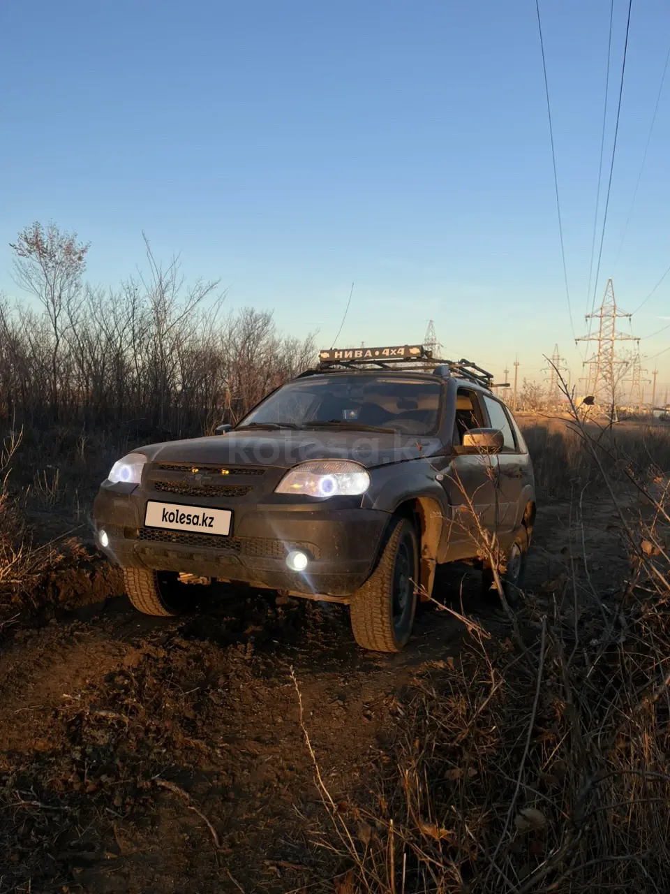 Chevrolet Niva, 2013