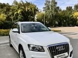 Audi Q5 2010 годаүшін7 900 000 тг. в Павлодар