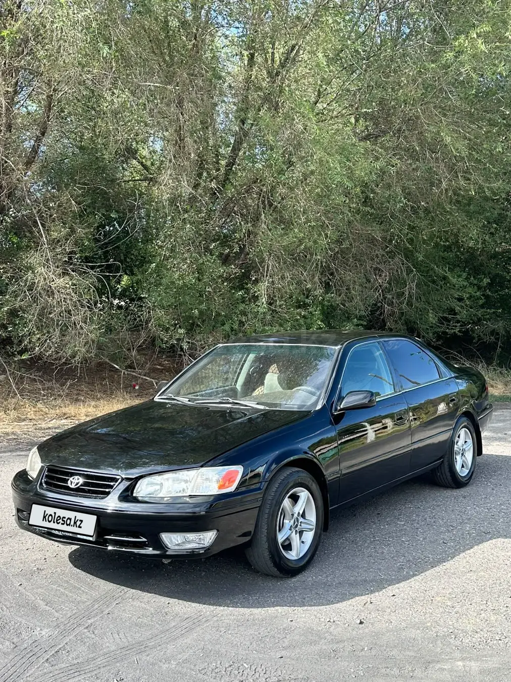 Toyota Camry, 2001