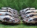 Фары Nissan Murano Z51 за 40 000 тг. в Алматы – фото 3