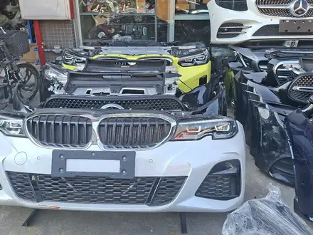 Ноускат за 550 000 тг. в Астана – фото 15