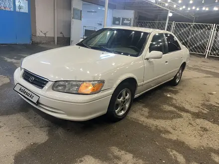 Toyota Camry 2001 года за 3 000 000 тг. в Тараз – фото 3