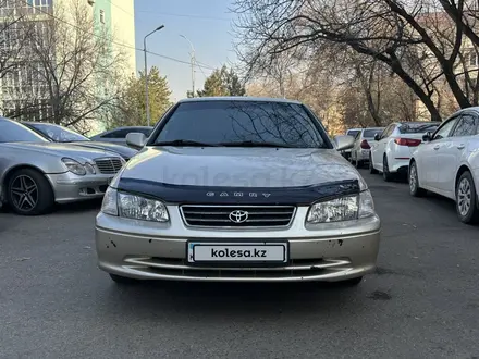 Toyota Camry 1999 года за 3 500 000 тг. в Алматы