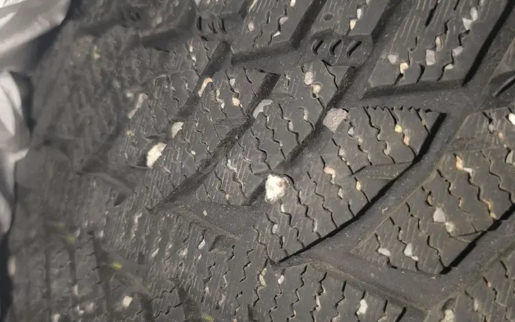 BERLIN за 100 000 тг. в Алматы