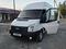 Ford Transit 2011 года за 6 500 000 тг. в Алматы
