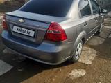 Chevrolet Aveo 2008 года за 2 600 000 тг. в Шымкент