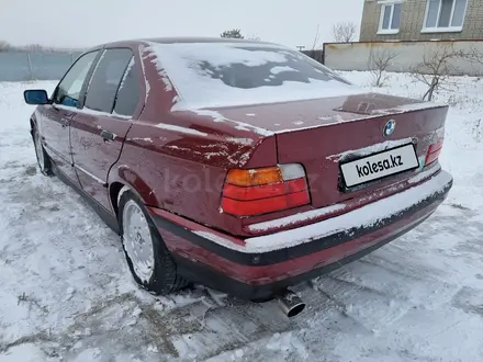 BMW 316 1995 года за 2 750 000 тг. в Алматы – фото 11