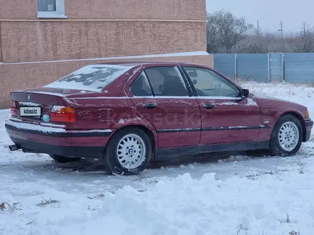 BMW 316 1995 года за 2 750 000 тг. в Алматы – фото 35