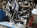 Двигатель 2GD-FTV Toyota Hilux за 3 000 000 тг. в Алматы – фото 5