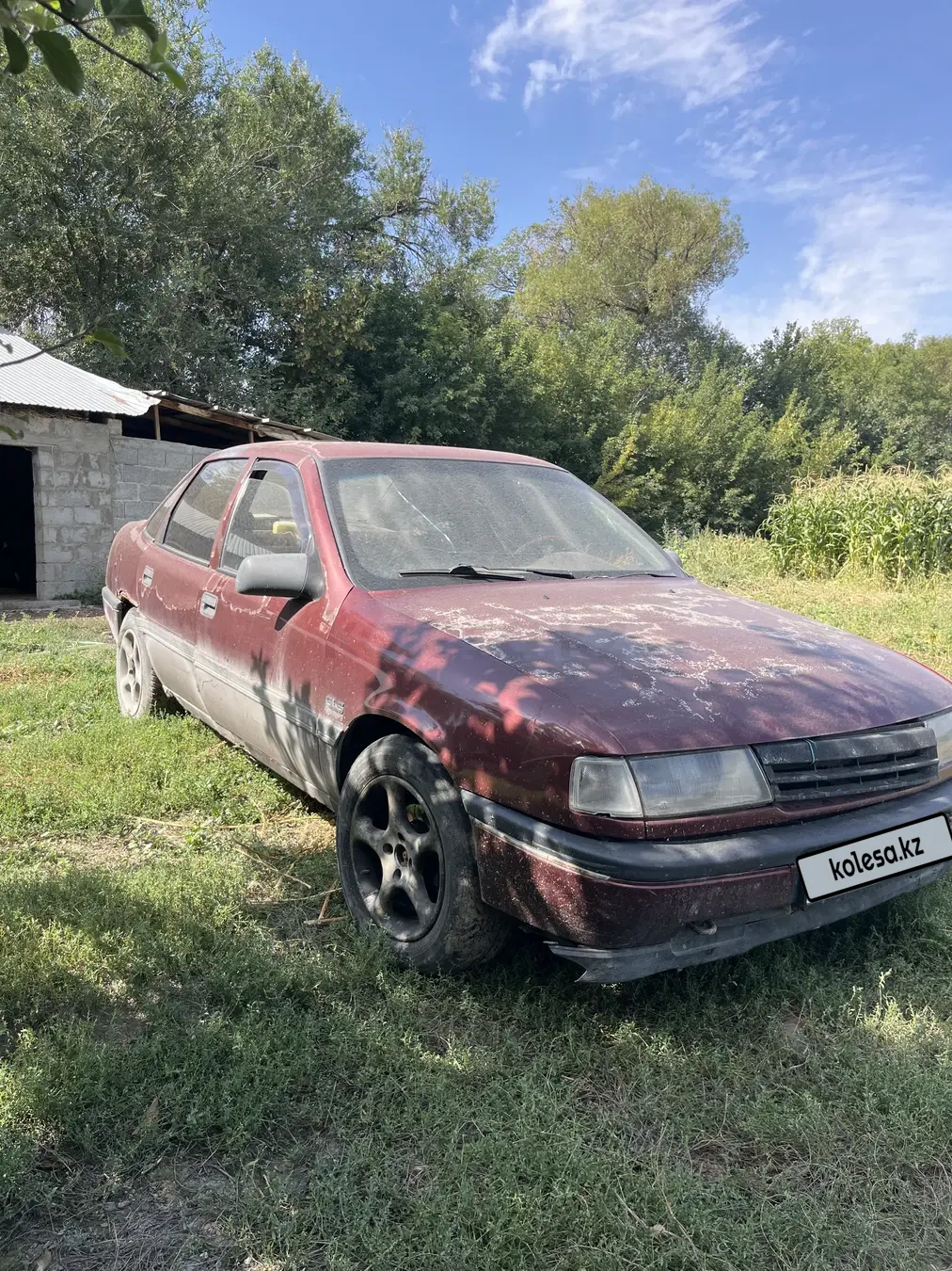 Opel Vectra, 1991