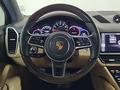 Porsche Cayenne 2021 года за 51 550 000 тг. в Алматы – фото 13