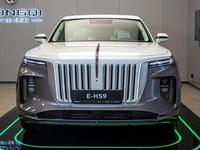 Hongqi E-HS9 Flagship 2022 года за 49 990 000 тг. в Алматы