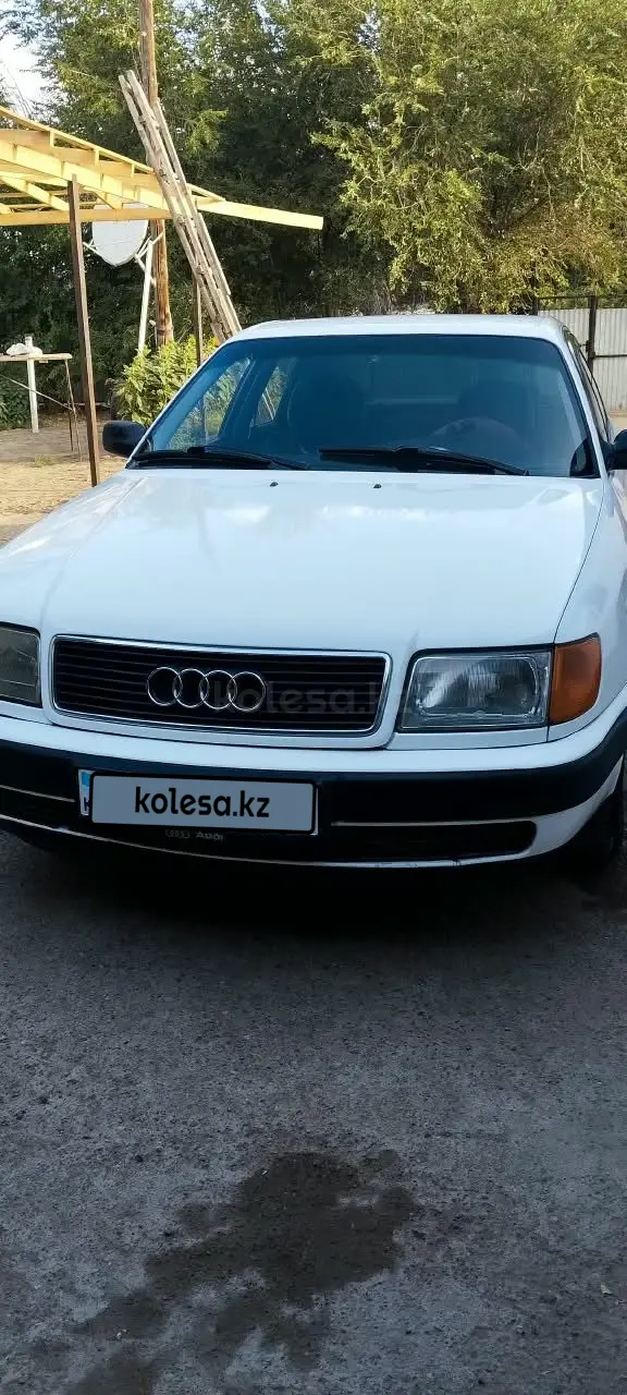 Audi 100, 1991