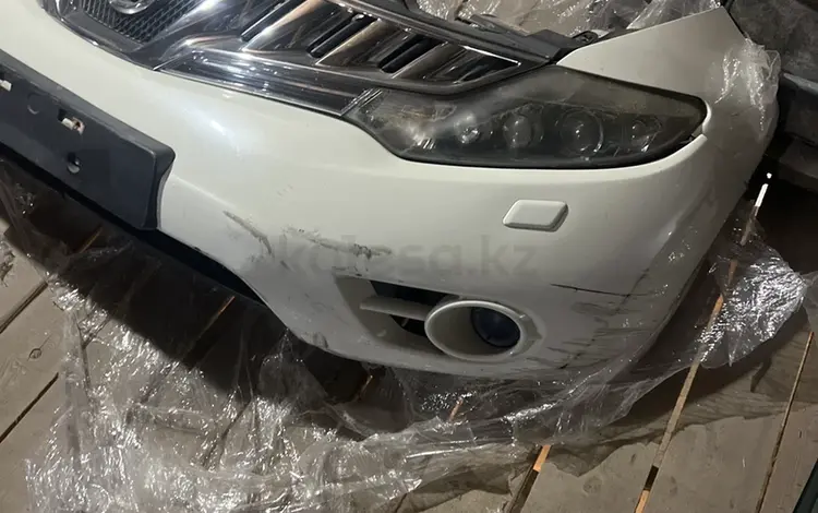 Ноускат за 350 000 тг. в Алматы