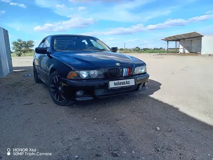 BMW 530 2002 года за 4 000 000 тг. в Жезказган