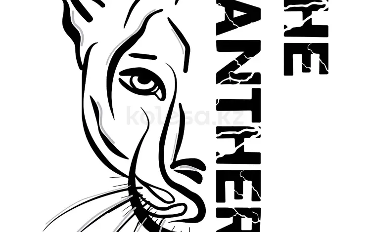 The Panther Центр ДВС и КПП в Алматы