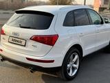Audi Q5 2009 года за 8 300 000 тг. в Шымкент – фото 5