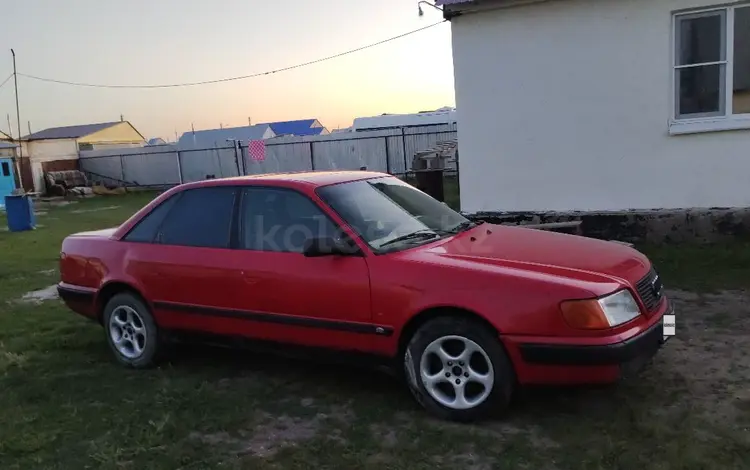 Audi 100 1991 года за 900 000 тг. в Аксай