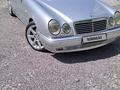 Mercedes-Benz E 55 AMG 1997 года за 5 200 000 тг. в Шымкент