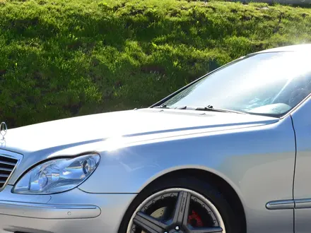 Mercedes-Benz S 500 2004 года за 6 300 000 тг. в Алматы – фото 5