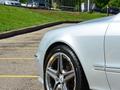 Mercedes-Benz S 500 2004 года за 6 300 000 тг. в Алматы – фото 9