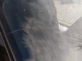 Ремонт скол на лобовом стекле на выезд! в Алматы – фото 60