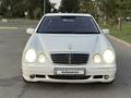 Mercedes-Benz E 55 AMG 2001 года за 8 000 000 тг. в Тараз – фото 2