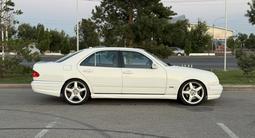 Mercedes-Benz E 55 AMG 2001 года за 8 000 000 тг. в Тараз – фото 5