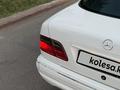 Mercedes-Benz E 55 AMG 2001 года за 8 000 000 тг. в Тараз – фото 9