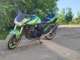 Kawasaki  Z 1000 2005 годаfor1 900 000 тг. в Усть-Каменогорск – фото 2