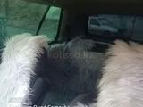 Volkswagen Golf 1993 года за 1 400 000 тг. в Шымкент – фото 4