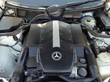 Mercedes-Benz E 55 AMG 2002 годаүшін9 000 000 тг. в Шымкент – фото 2
