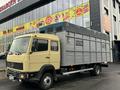 Mercedes-Benz  814 1991 годаүшін8 000 000 тг. в Шымкент